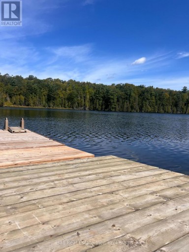 117 FIRE ROUTE 396 ROUTE, Trent Lakes, Ontario, K0M2A0