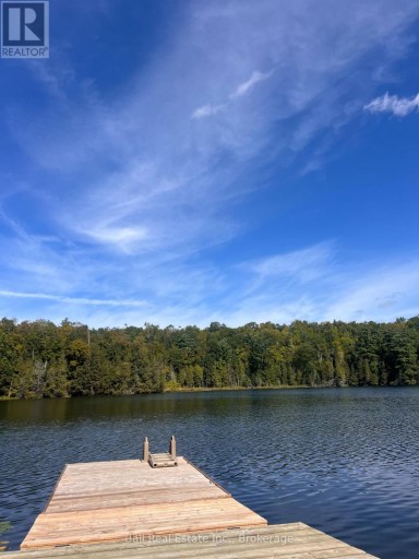117 FIRE ROUTE 396 ROUTE, Trent Lakes, Ontario, K0M2A0