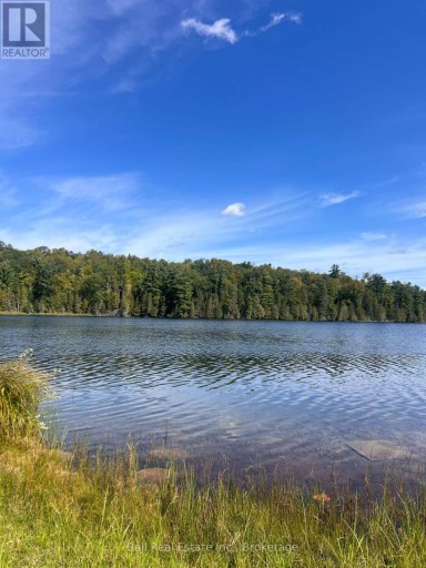 117 FIRE ROUTE 396 ROUTE, Trent Lakes, Ontario, K0M2A0