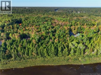 Lot 12 Johnson Road Renous New Brunswick photo 15