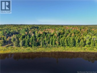 Lot 12 Johnson Road Renous New Brunswick photo 16