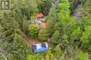 541503 CONCESSION 14 NDR West Grey Ontario photo 25