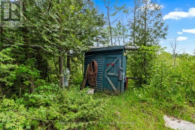 541503 CONCESSION 14 NDR West Grey Ontario photo 28