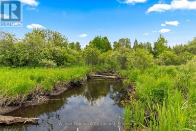 541503 CONCESSION 14 NDR West Grey Ontario photo 37
