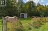2078 Route 845, Bayswater, New Brunswick, E5S1J6 (ID NB148060)