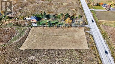 3142 COUNTY RD 50 Adjala-Tosorontio Ontario photo 10
