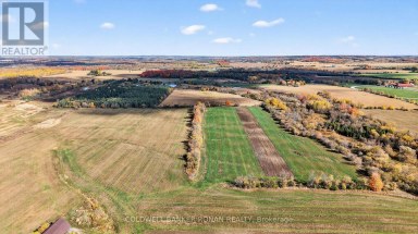 3142 COUNTY RD 50 Adjala-Tosorontio Ontario photo 21