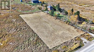 3142 COUNTY RD 50 Adjala-Tosorontio Ontario photo 5