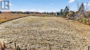 3142 COUNTY RD 50 Adjala-Tosorontio Ontario photo 9