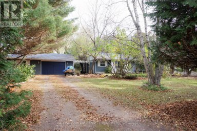 81 CEDAR BEACH ROAD Brock (Beaverton) Ontario photo 1