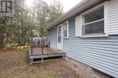 81 CEDAR BEACH ROAD Brock (Beaverton) Ontario photo 17