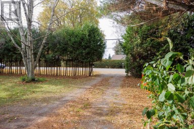 81 CEDAR BEACH ROAD Brock (Beaverton) Ontario photo 4
