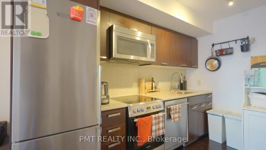 303 - 295 ADELAIDE STREET W Toronto (Waterfront Communities) Ontario photo 2
