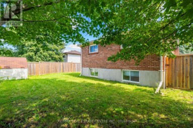 141 CEDAR CREST STREET Kitchener Ontario photo 28