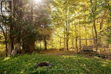 2840 RAPIDS ROAD Tweed (Hungerford (Twp)) Ontario photo 21