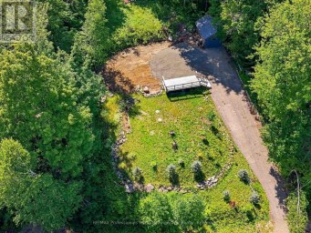 1093 GRACE RIVER ROAD Highlands East (Monmouth) Ontario photo 1