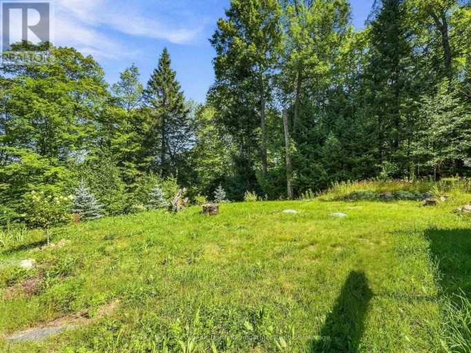 1093 GRACE RIVER ROAD, Highlands East (Monmouth), Ontario, K0L3C0