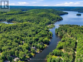 1093 GRACE RIVER ROAD Highlands East (Monmouth) Ontario photo 14
