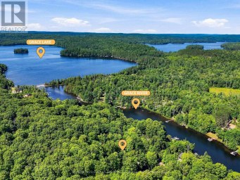 1093 GRACE RIVER ROAD Highlands East (Monmouth) Ontario photo 2