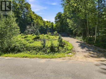 1093 GRACE RIVER ROAD Highlands East (Monmouth) Ontario photo 4