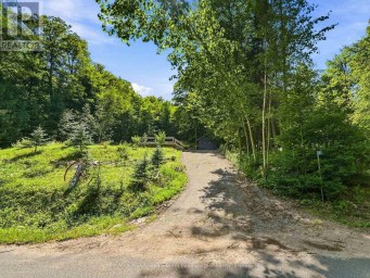 1093 GRACE RIVER ROAD Highlands East (Monmouth) Ontario photo 5