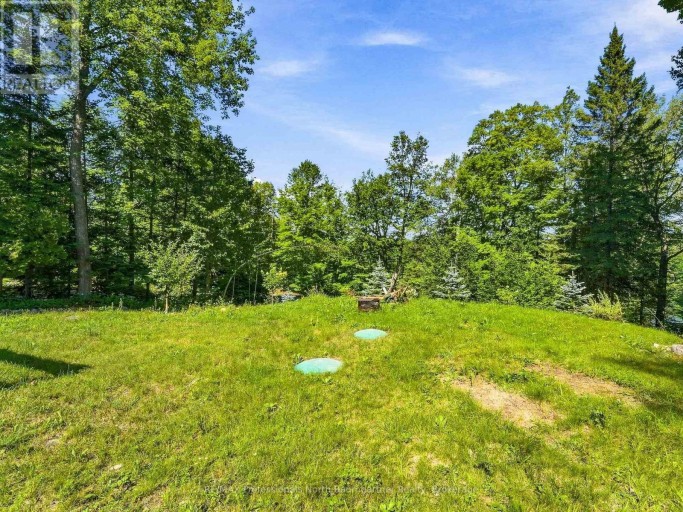 1093 GRACE RIVER ROAD, Highlands East (Monmouth), Ontario, K0L3C0