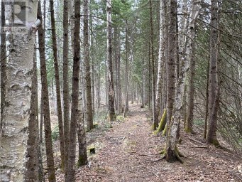 1014 BULRUSH TRAIL Highlands East (Glamorgan) Ontario photo 1