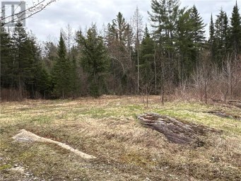 1014 BULRUSH TRAIL Highlands East (Glamorgan) Ontario photo 11