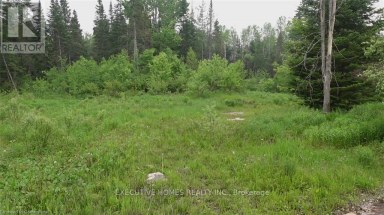 1014 BULRUSH TRAIL Highlands East (Glamorgan) Ontario photo 12