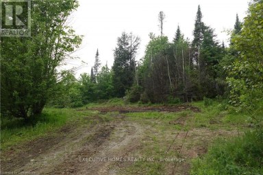 1014 BULRUSH TRAIL Highlands East (Glamorgan) Ontario photo 7