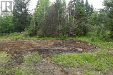 1014 BULRUSH TRAIL Highlands East (Glamorgan) Ontario photo 9