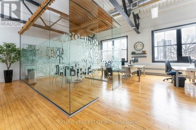 306B - 219 DUFFERIN STREET Toronto (South Parkdale) Ontario photo 3