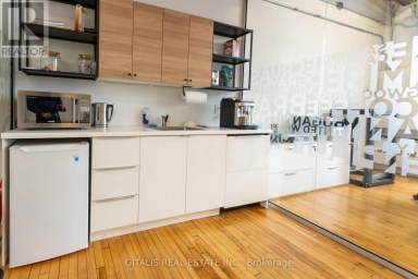 306B - 219 DUFFERIN STREET Toronto (South Parkdale) Ontario photo 6