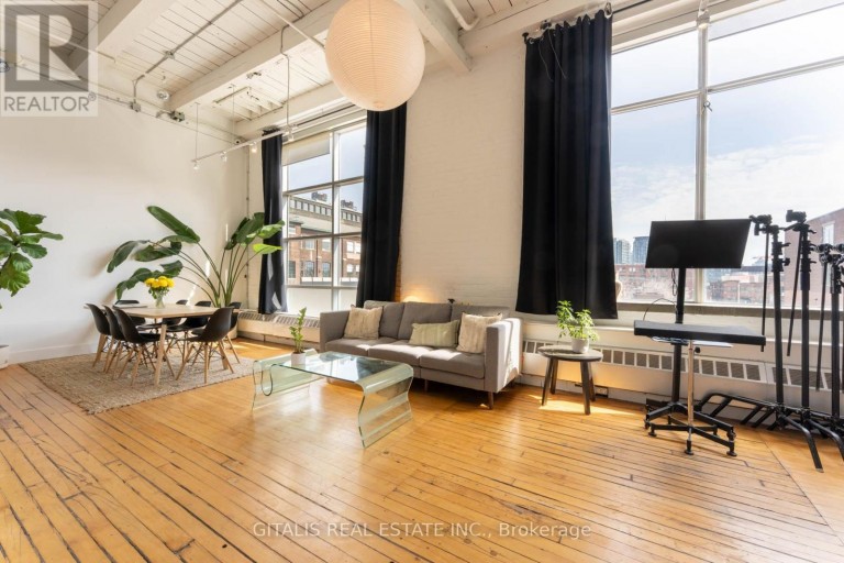 207B - 219 DUFFERIN STREET, Toronto (South Parkdale), Ontario, M6K1J1