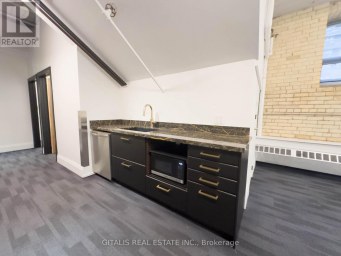 2A - 219 DUFFERIN STREET Toronto (South Parkdale) Ontario photo 3