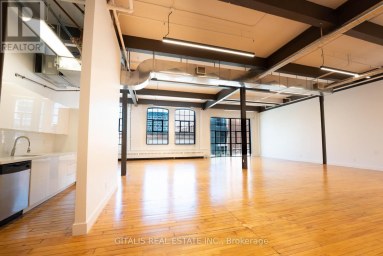 102A - 219 DUFFERIN STREET Toronto (South Parkdale) Ontario photo 2