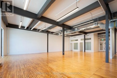 102A - 219 DUFFERIN STREET Toronto (South Parkdale) Ontario photo 3
