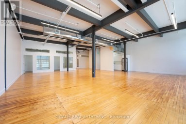 102A - 219 DUFFERIN STREET Toronto (South Parkdale) Ontario photo 4
