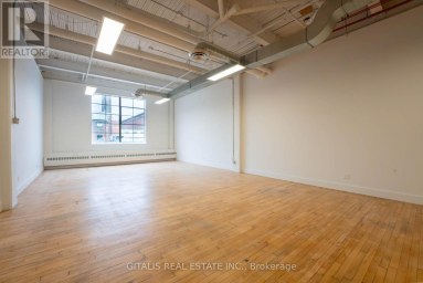 211C - 219 DUFFERIN STREET Toronto (South Parkdale) Ontario photo 2