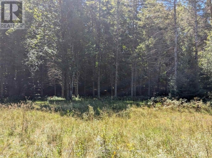 1059 ABLETT COURT, Algonquin Highlands (Stanhope), Ontario, K0M1S0