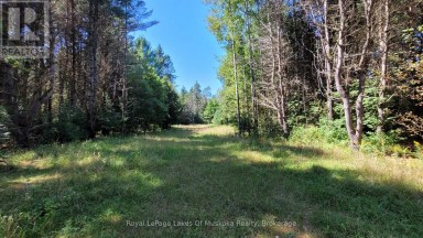 1059 ABLETT COURT Algonquin Highlands (Stanhope) Ontario photo 11