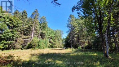 1059 ABLETT COURT Algonquin Highlands (Stanhope) Ontario photo 2