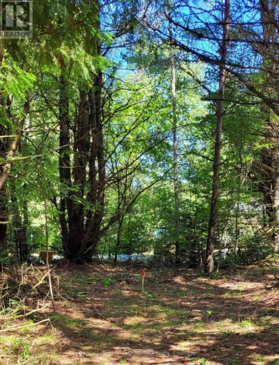 1059 ABLETT COURT, Algonquin Highlands (Stanhope), Ontario, K0M1S0