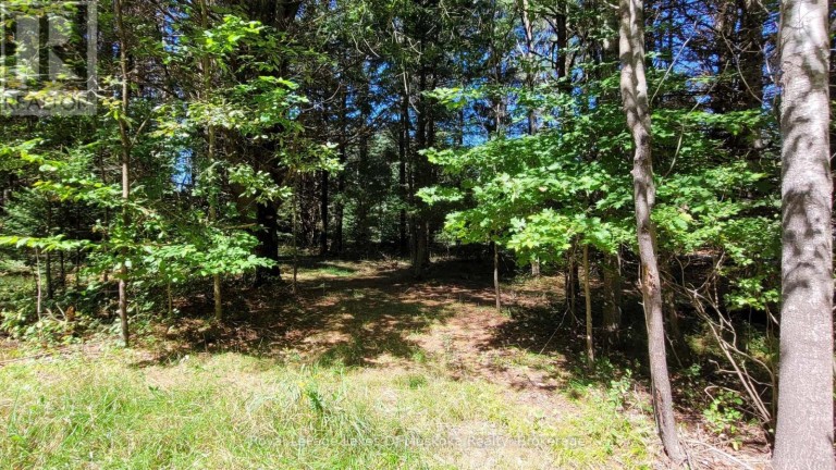 1059 ABLETT COURT, Algonquin Highlands (Stanhope), Ontario, K0M1S0
