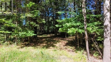1059 ABLETT COURT Algonquin Highlands (Stanhope) Ontario photo 4