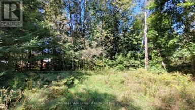 1059 ABLETT COURT Algonquin Highlands (Stanhope) Ontario photo 6