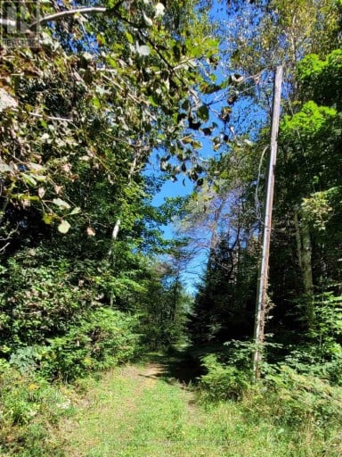 1059 ABLETT COURT, Algonquin Highlands (Stanhope), Ontario, K0M1S0