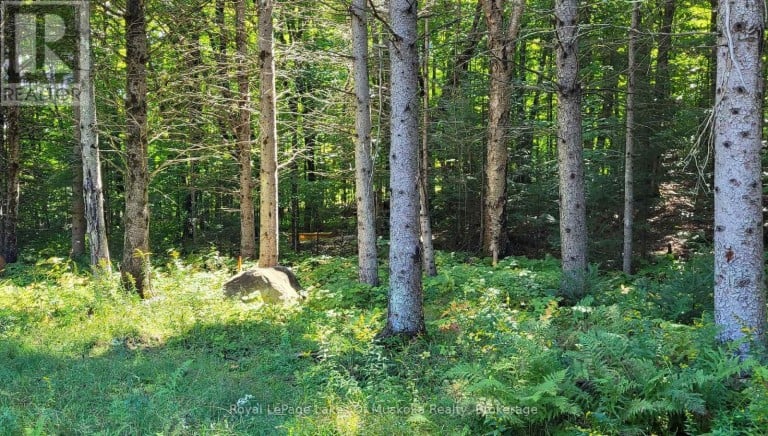 1059 ABLETT COURT, Algonquin Highlands (Stanhope), Ontario, K0M1S0