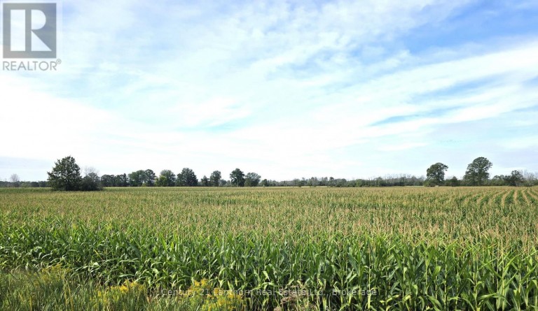 1014 HAMILTON ROAD, Quinte West (Sidney Ward), Ontario, K8V5P8