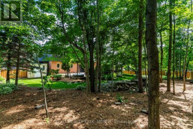 14 ROSEWOOD AVENUE Springwater (Midhurst) Ontario photo 46
